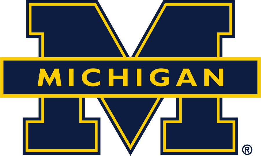 Michigan Wolverines 1994-2016 Alternate Logo diy iron on heat transfer
